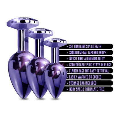 NIXIE Metal Butt Plug Trainer Set,  Purple Metallic - THES